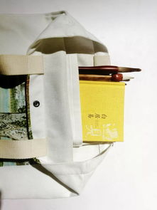 王建鋒繪畫藝術(shù)衍生品與亮寶樓文創(chuàng) 藝術(shù)與商業(yè)的完美融合
